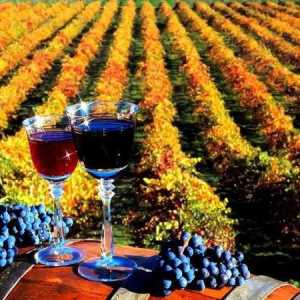 Cele mai bune vinuri din regiunea Krasnodar: recenzie, evaluare, compoziție, tipuri și recenzii