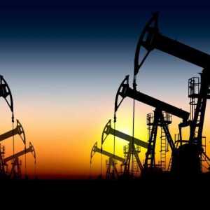 Marci de petrol din lume. Tipurile de ulei din Rusia