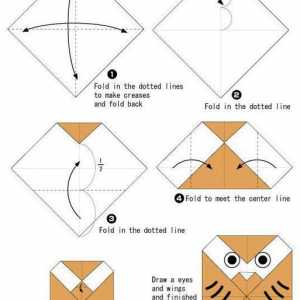 Master-class: cum să faci owl origami
