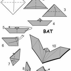 Master-class: bat-origami bat
