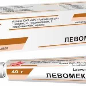 Unguent "Levomekol": pentru ce se utilizează medicamentul?