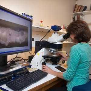 Metode de cercetare microscopice în microbiologie