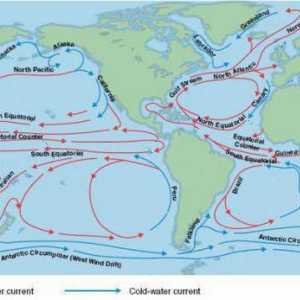 Oceani: studiați curenții oceanici