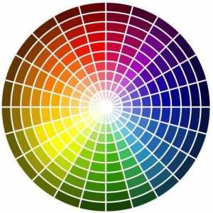 Culori monocrome. Legi de combinații de culori în diferite sfere ale vieții.