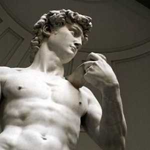Marble David. Michelangelo și creația lui