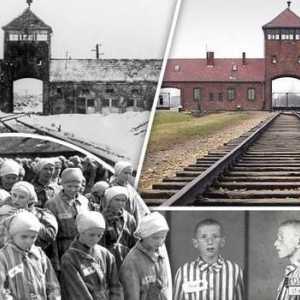 Muzeul Auschwitz. Muzeul Auschwitz-Birkenau