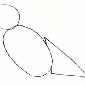 Pe un exemplu, vom învăța cum să desenezi o vrabie în creion pas cu pas