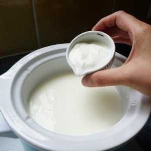 "Narine" (lapte): instrucțiuni pentru utilizarea lactobacililor în casă