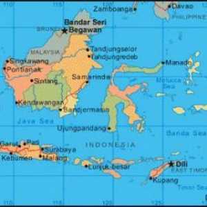 Populația Indoneziei: demografie, relocare și compoziție națională