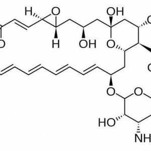Natamycin: instrucțiuni de utilizare. Unguent, supozitoare și tablete "Natamycin"