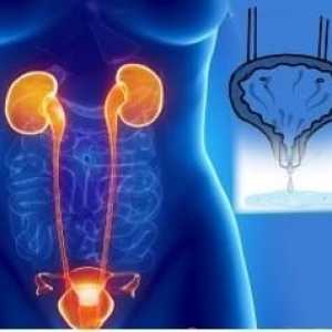 Incontinența urinară la femeile în vârstă: tratament și cauze