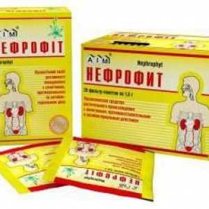 `Nephrofit`: instrucțiuni de utilizare, Comentarii și prețuri