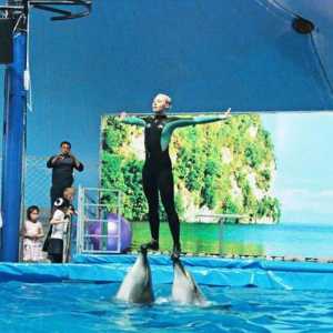 `Nemo` - un dolphinarium minunat în Almaty