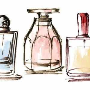 Parfumerie de nișă este ... Parfumerie de nișă: comentarii, prețuri, fotografii