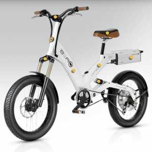 Un nou tip de vehicul este o bicicletă electrică. Recenzii de utilizatori