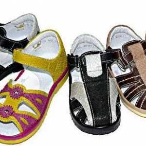 Pantofi antelope. O grilă dimensională de încălțăminte pentru copii.