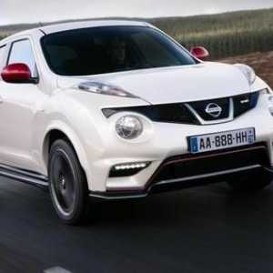 O altă completare pe linia Nissan: caracteristicile tehnice ale Nissan Beetle, designul și prețul