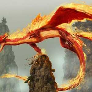 Dragonii de foc - caracteristicile caracterului
