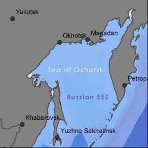 Marea Okhotsk: probleme de mediu și modalități de a le rezolva