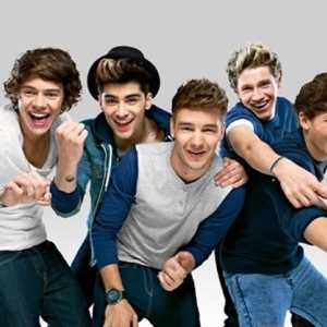 One Direction: biografia celei mai populare băieți din zilele noastre