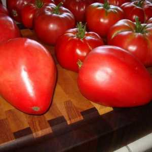 Descriere și recenzii: tomate `mazarini`