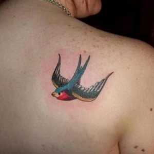Determinați valoarea tatuajului. Birdul ca simbol al libertății