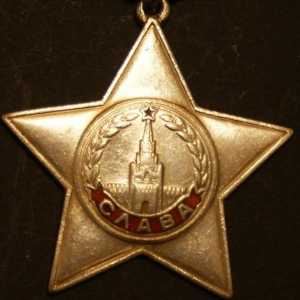 Ordinul gloriei: istoria premiului soldatului