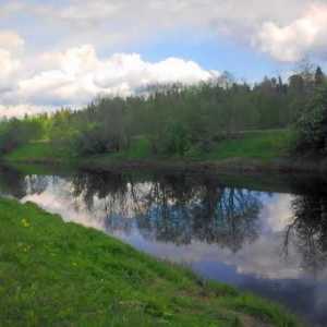 Oredezh - râul din regiunea Leningrad. Influxurile și caracteristicile geografice ale fluxului de…