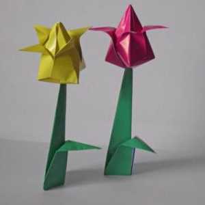 Origami tulip: schema pentru copii, clasa maestru