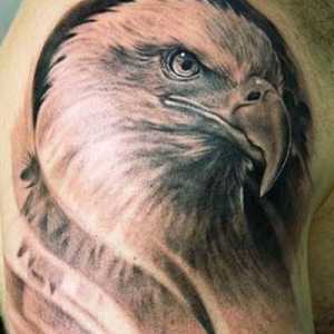 Tatuaj original "vultur"
