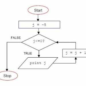 Tipuri de bază și exemple de algoritmi ciclici