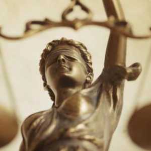 Principalele tipuri de servicii juridice