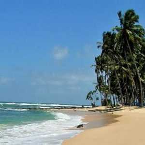 Sri Lanka: vremea de luni și clima. Descrierea naturii insulei și revizuirile turiștilor