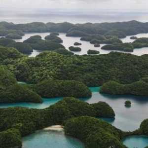Insulele Palau din Oceanul Pacific