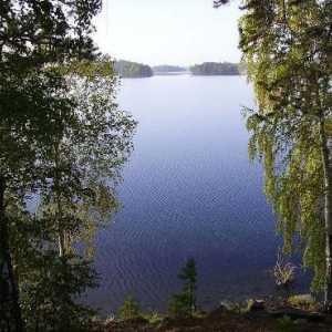 Restul pe lacurile din Chelyabinsk: prețuri, comentarii, baze de date și recreere…