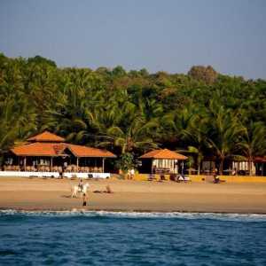 Sea View Resort 3 (India / Goa): fotografii și recenzii turistice