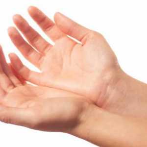 De unde vin numele degetelor mâinilor umane?