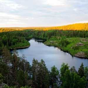 Lacurile din regiunea Leningrad vor oferi o vacanță de neuitat