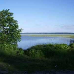 Lacul Otradnoe: descriere, caracteristici, floră și faună