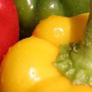 Pepper Bogatyr: recenzii ale grădinarilor