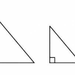Primul semn al egalității de triunghiuri. Al doilea și al treilea semnal al egalității de…