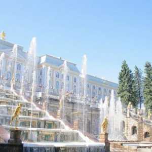 Petrodvorets din Sankt Petersburg: fotografie, adresă, excursii