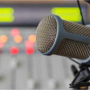 Pro-urile de radio în limba engleză