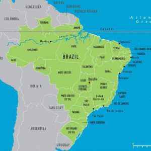 Zona Braziliei, natura și populația țării
