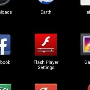 De ce nu este instalat Adobe Flash Player? Instalați noul Adobe Flash Player