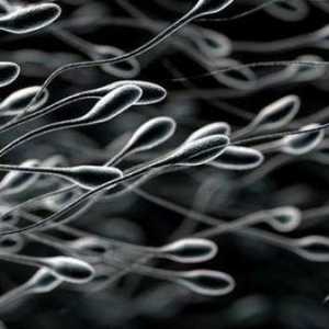 De ce spermă lichid a devenit transparent: cauze posibile