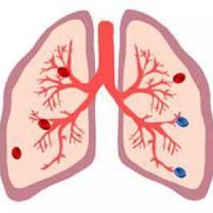 Detalii ale organelor în care sângele este saturat cu oxigen