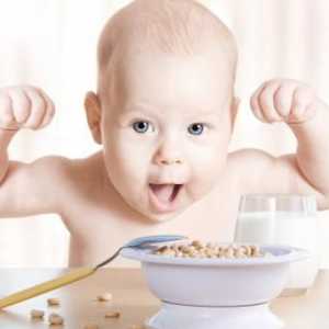 Hrana completă: o rețetă pentru un copil de până la un an. Ce poți să-ți dai un copil pe an? Meniu…
