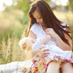 După naștere: ce mănâncă mamele care alăptează?