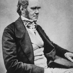 Cerințe preliminare pentru apariția teoriei lui Darwin. Teoria originii speciilor